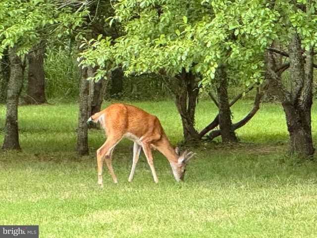 3 RICHARDSON WAY, Rehoboth Beach, DE 19971