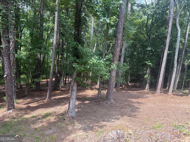 96 Battle Knoll, Dallas, GA 30157