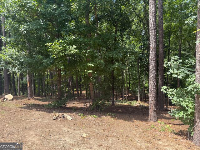 96 Battle Knoll, Dallas, GA 30157