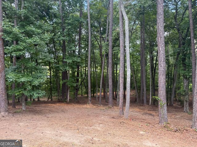 96 Battle Knoll, Dallas, GA 30157