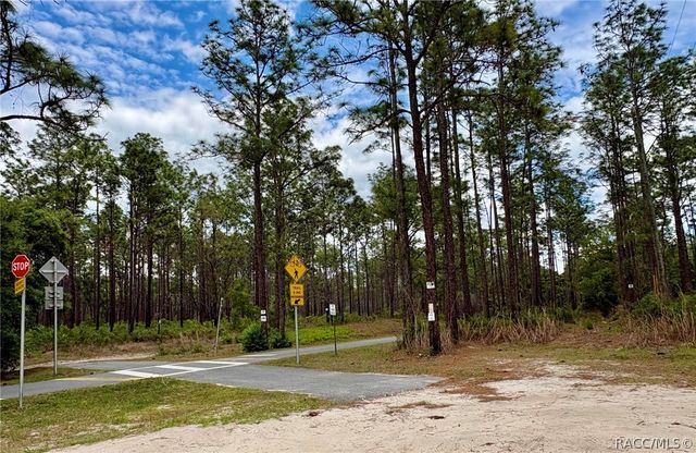 27001 Richbarn Road, Brooksville, FL 34601