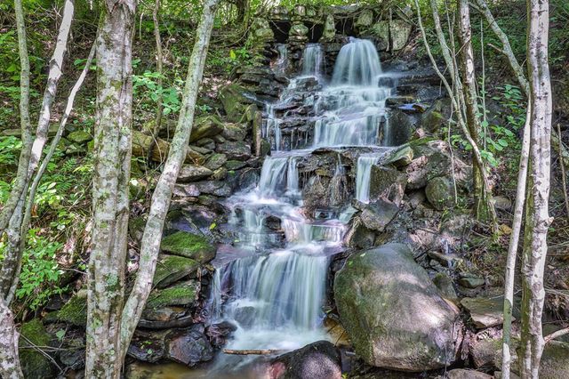 51+ acre Mountain Cove Way, Cherry Log, GA 30522