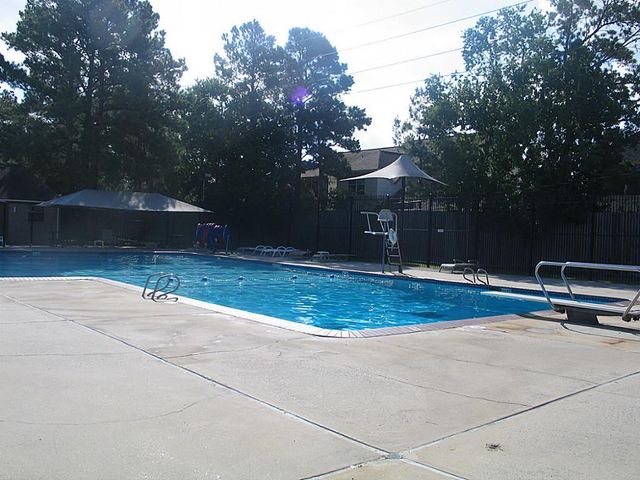 9202 Bayou Bluff Drive, Spring, TX 77379