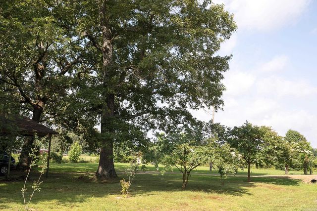 13717 Terry Lane, Ward, AR 72176