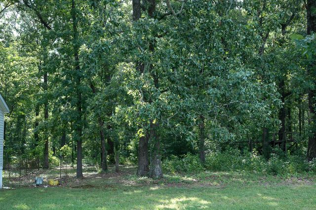 13717 Terry Lane, Ward, AR 72176
