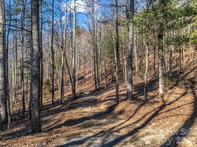 109 Justamere Lane, Hendersonville, NC 28739