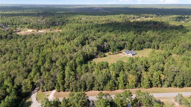 21203 Peach Wood Court, Cleveland, TX 77328
