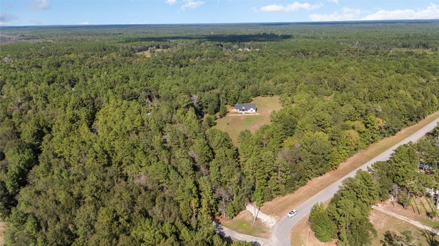 21203 Peach Wood Court, Cleveland, TX 77328