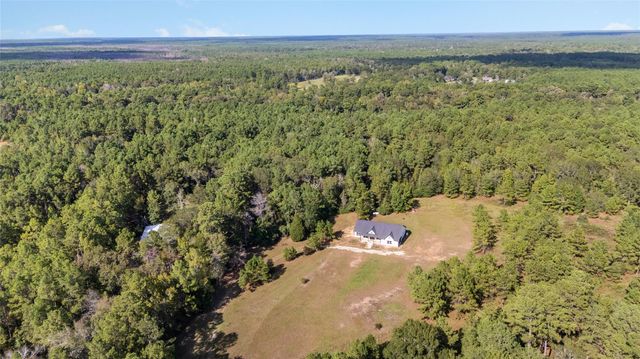 21203 Peach Wood Court, Cleveland, TX 77328