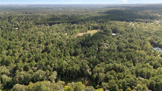 21203 Peach Wood Court, Cleveland, TX 77328