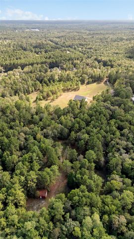 21203 Peach Wood Court, Cleveland, TX 77328