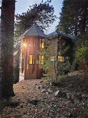 21425 Sawpit Canyon Road, Cedarpines Park, CA 92322