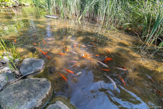 5085 Curtis Road, Arcadia Township, MI 48412