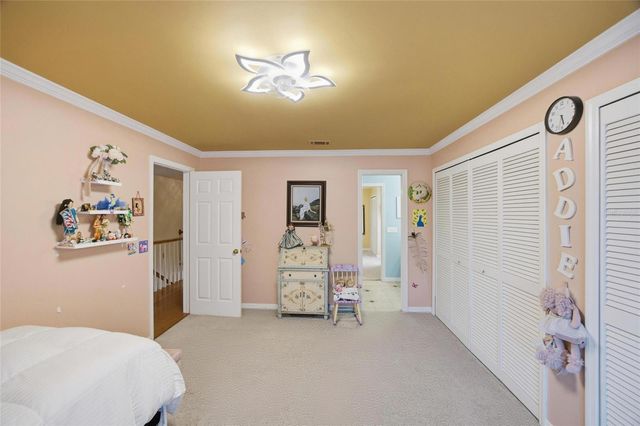 2603 COZUMEL DRIVE, Tampa, FL 33618