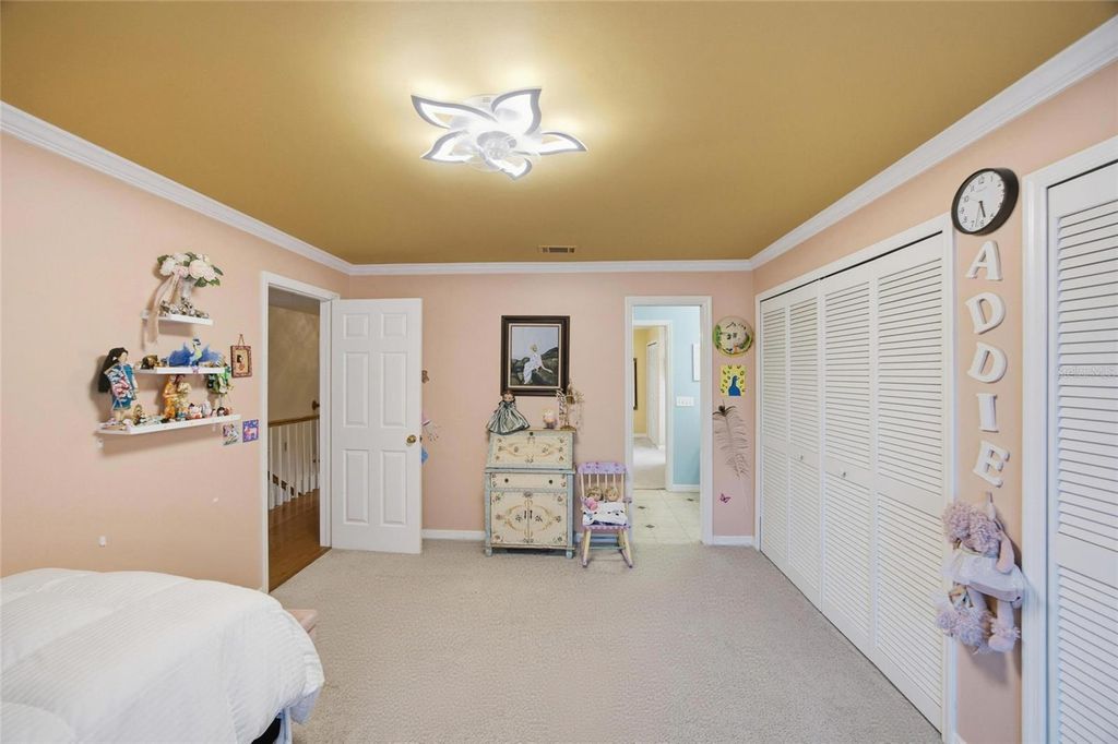 Image 31 of property listing at 2603 COZUMEL DRIVE, Tampa, FL 33618