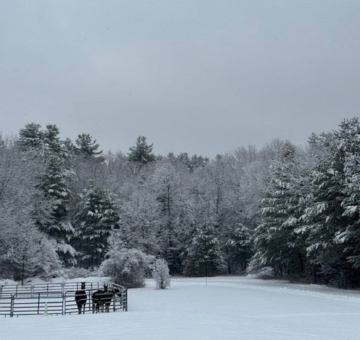 75 Kendall Street, Granby, MA 01033