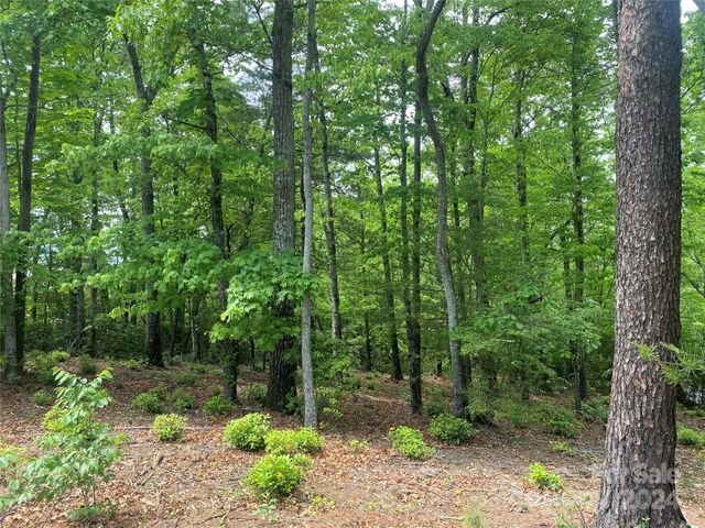 Lot 49 Bald Eagle Lane, Marion, NC 28752