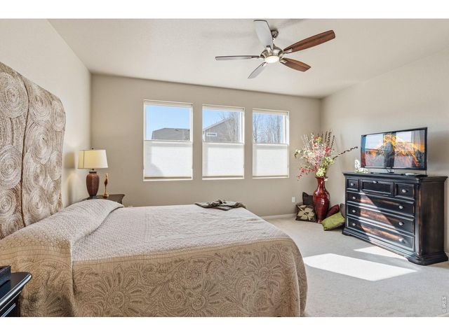 3871 Peach St, Wellington, CO 80549