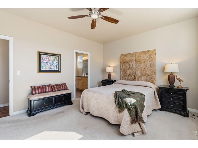 3871 Peach St, Wellington, CO 80549