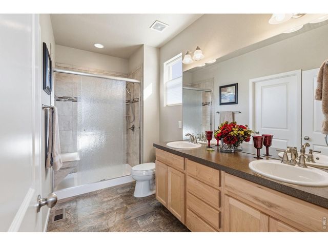 3871 Peach St, Wellington, CO 80549