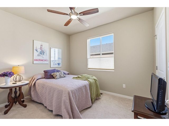 3871 Peach St, Wellington, CO 80549