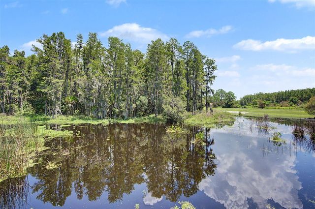 3800 HERLONG STREET, New Port Richey, FL 34655