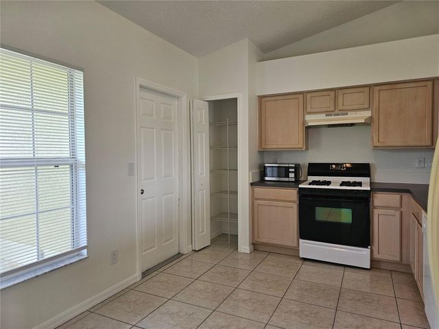 13345 PINYON DRIVE, Clermont, FL 34711