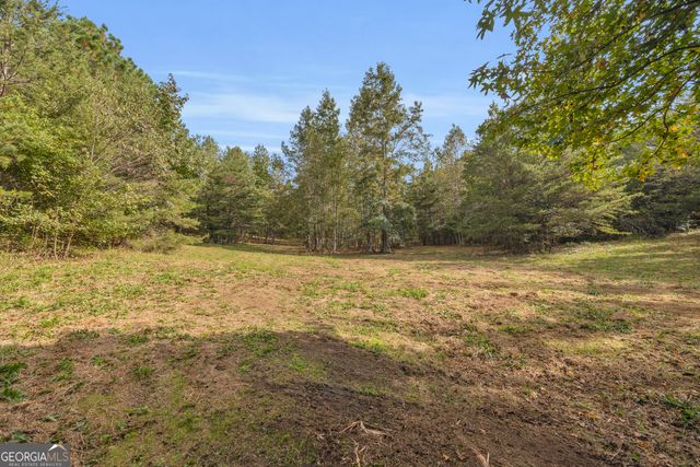 438 Turner Road, Cleveland, GA 30528