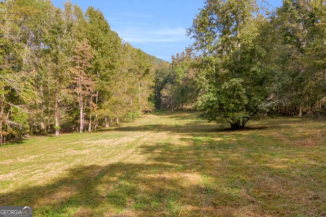 438 Turner Road, Cleveland, GA 30528