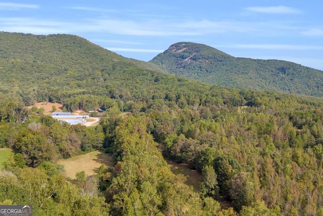 438 Turner Road, Cleveland, GA 30528