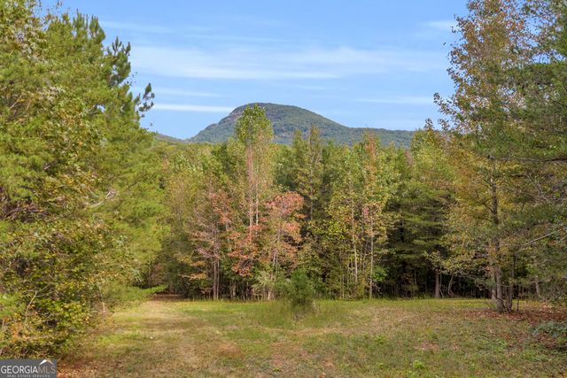438 Turner Road, Cleveland, GA 30528