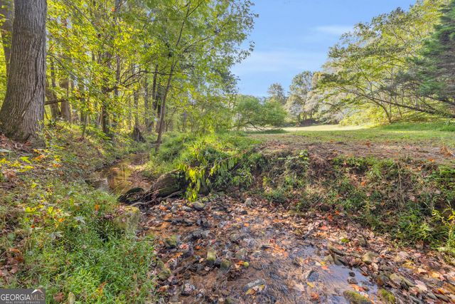 438 Turner Road, Cleveland, GA 30528