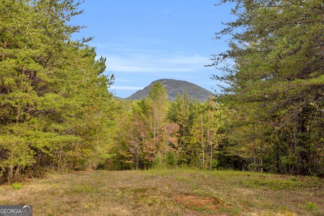 438 Turner Road, Cleveland, GA 30528
