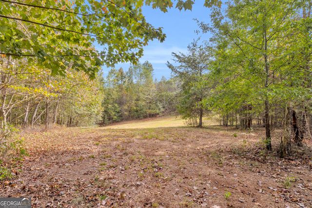 438 Turner Road, Cleveland, GA 30528