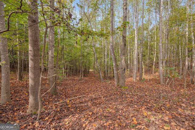 438 Turner Road, Cleveland, GA 30528