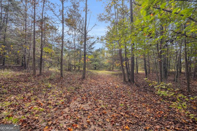 438 Turner Road, Cleveland, GA 30528