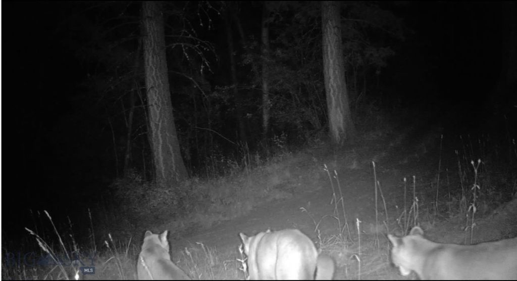 Springhill Vistas Ranch at Four Bar Ranches, Belgrade, MT 59714 photo 12