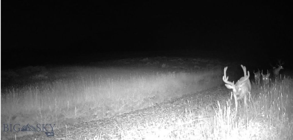 Springhill Vistas Ranch at Four Bar Ranches, Belgrade, MT 59714 photo 13