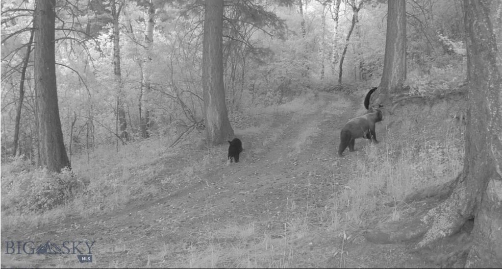 Springhill Vistas Ranch at Four Bar Ranches, Belgrade, MT 59714 photo 15