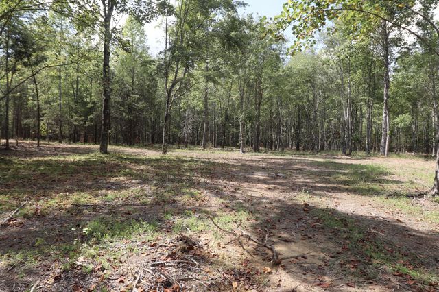 0 Johnson Rd, Westmoreland, TN 37186