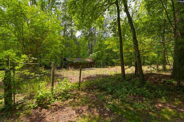 199 Dowd Drive, Gaston, SC 29160