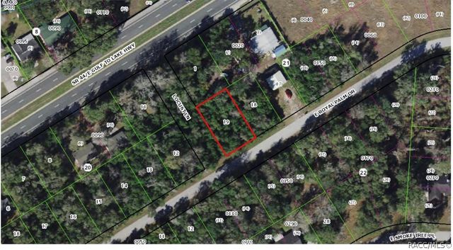 9321 E Royal Palm Drive, Inverness, FL 34450
