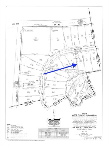 284 Iron Horse Road, New Waverly, TX 77358