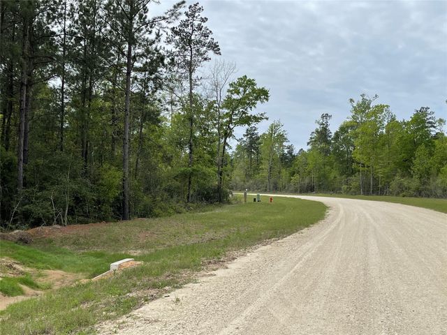 284 Iron Horse Road, New Waverly, TX 77358