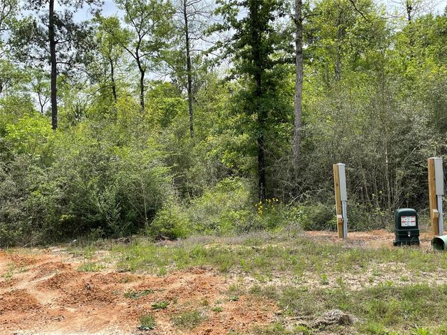 284 Iron Horse Road, New Waverly, TX 77358