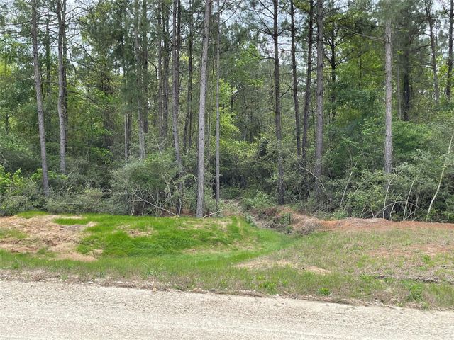 284 Iron Horse Road, New Waverly, TX 77358