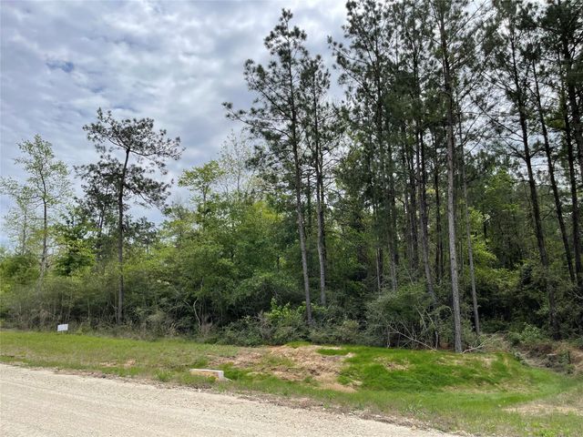 284 Iron Horse Road, New Waverly, TX 77358