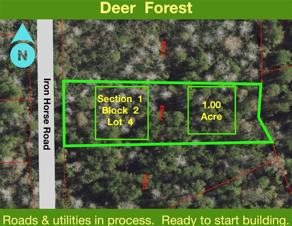 284 Iron Horse Road, New Waverly, TX 77358