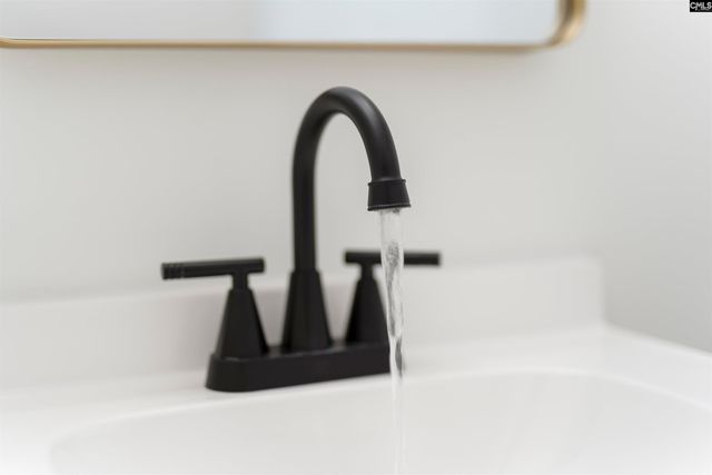 1851 McMichael Street, Orangeburg, SC 29115