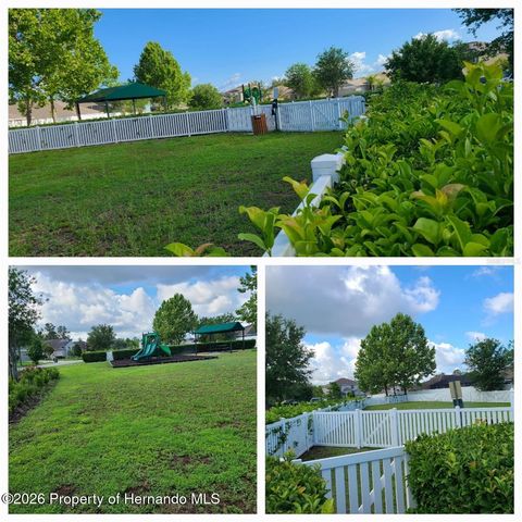 18353 Briar Oaks Drive, Hudson, FL 34667